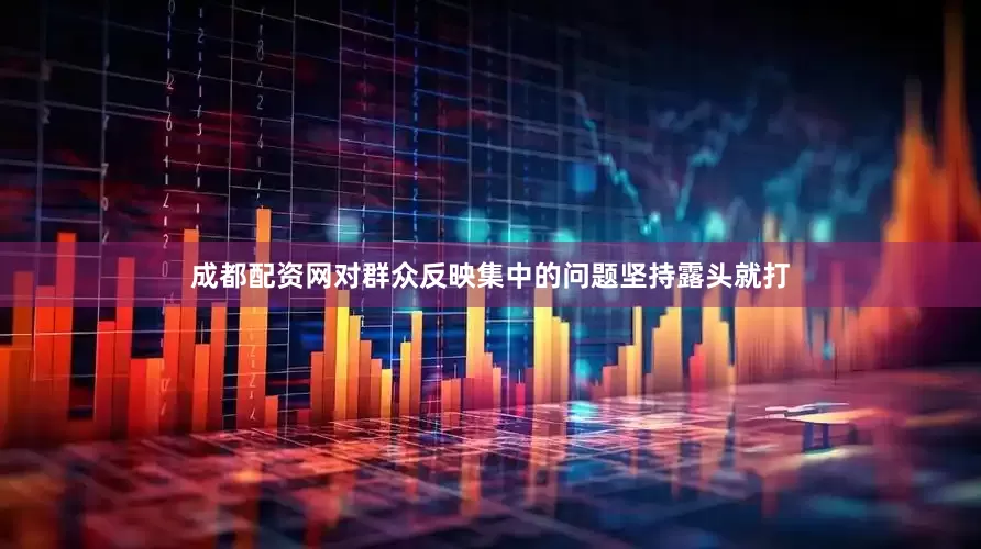 成都配资网对群众反映集中的问题坚持露头就打