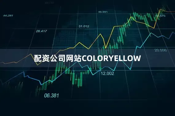 配资公司网站COLORYELLOW